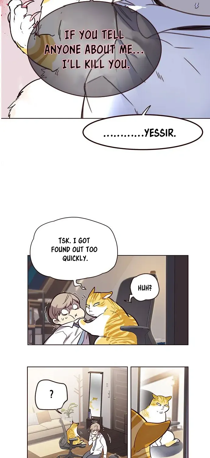 Chapter 1 — page 60