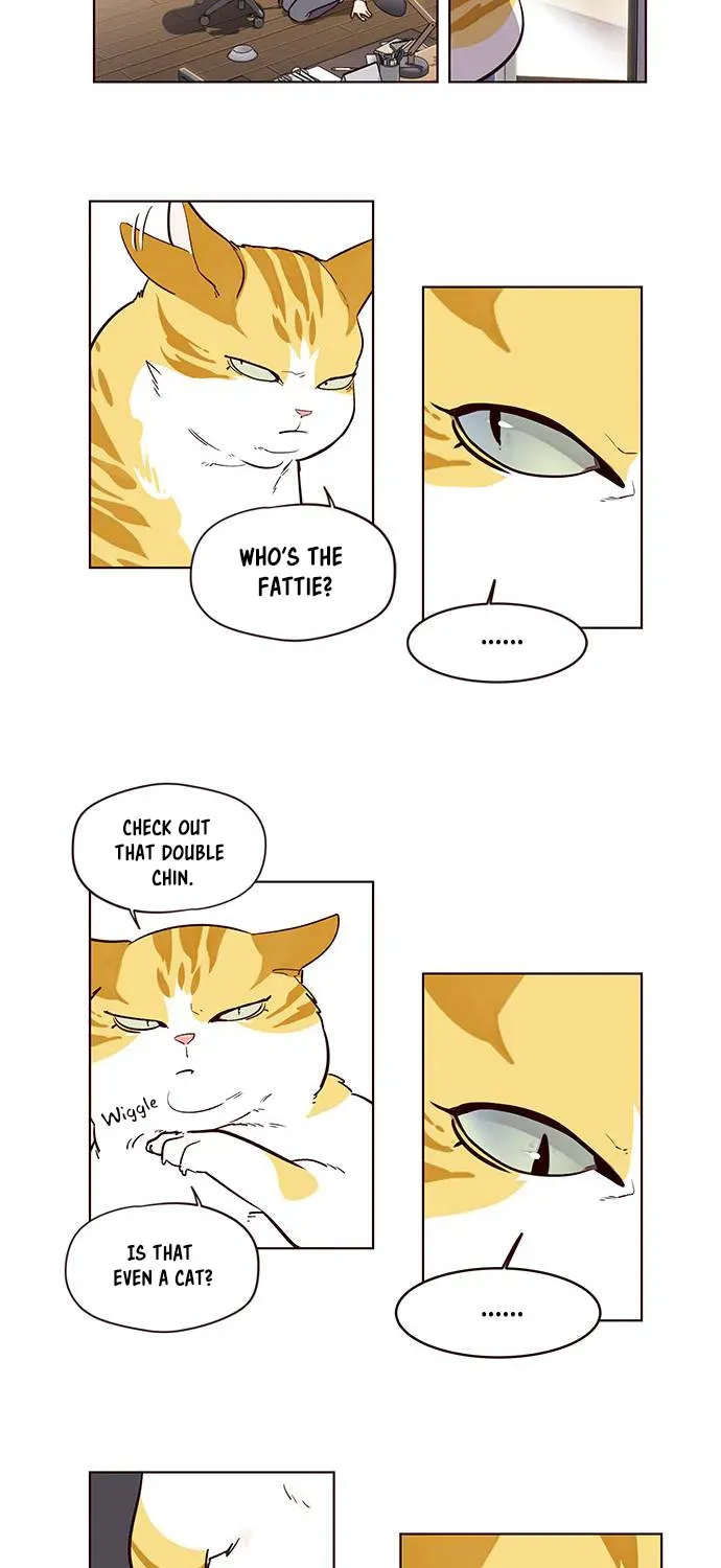 Chapter 1 — page 61