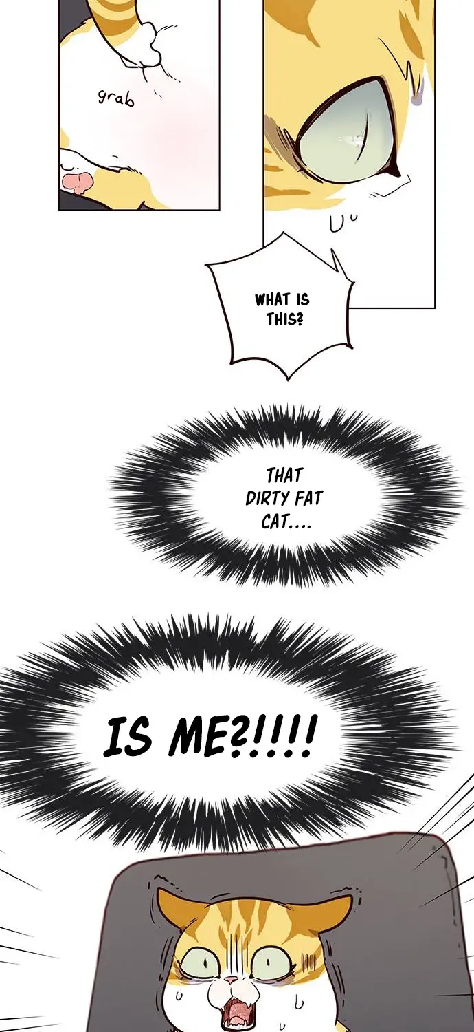Chapter 1 — page 62