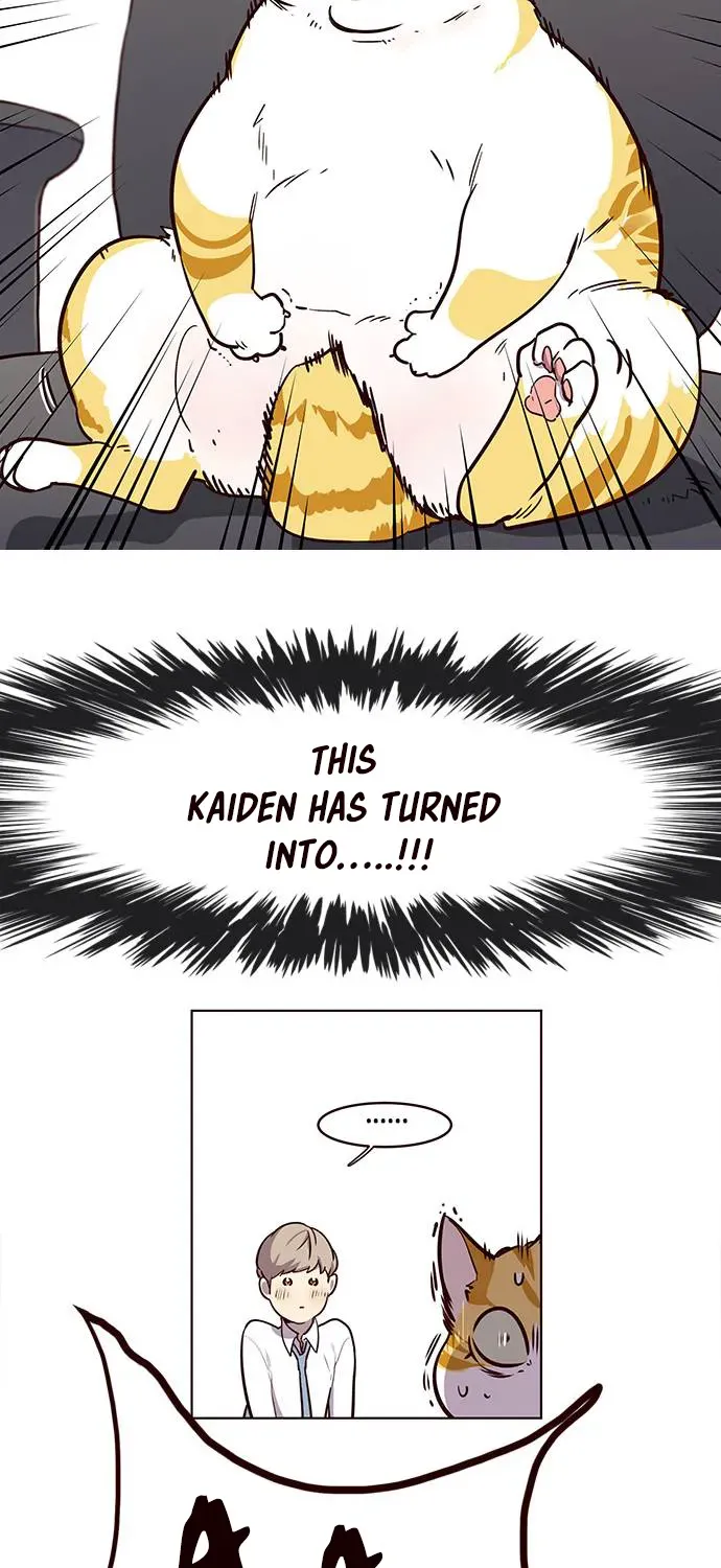 Chapter 1 — page 63