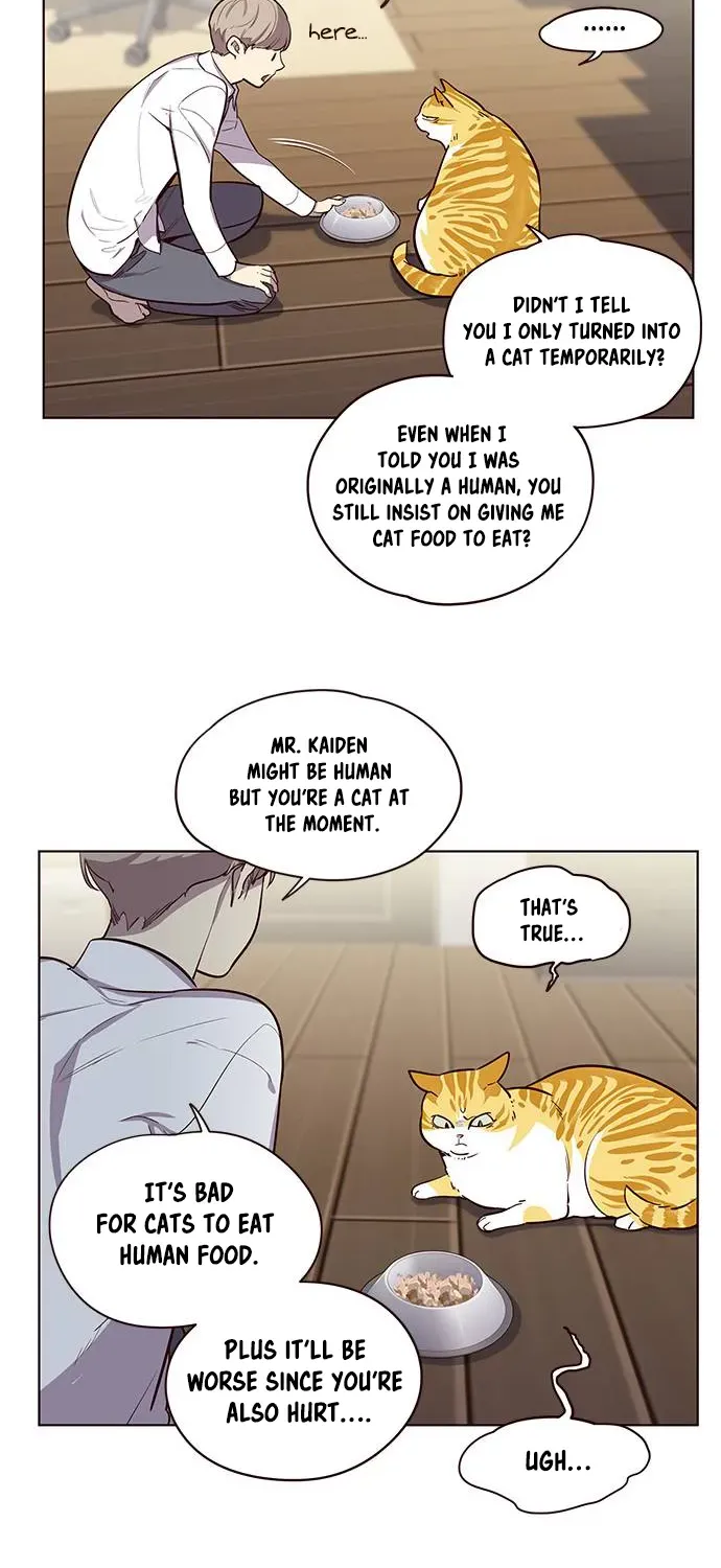 Chapter 2 — page 14