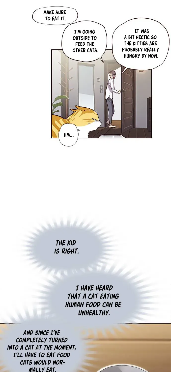 Chapter 2 — page 15