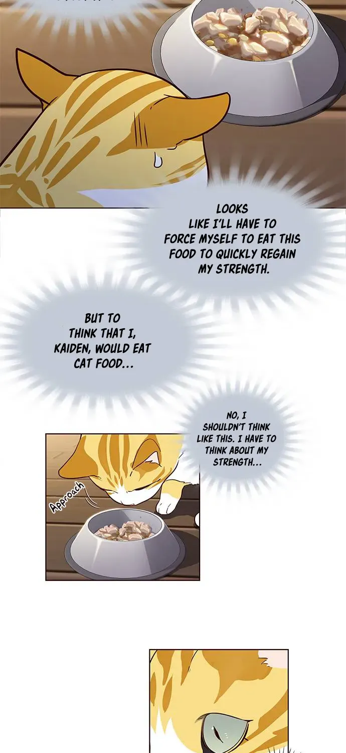 Chapter 2 — page 16