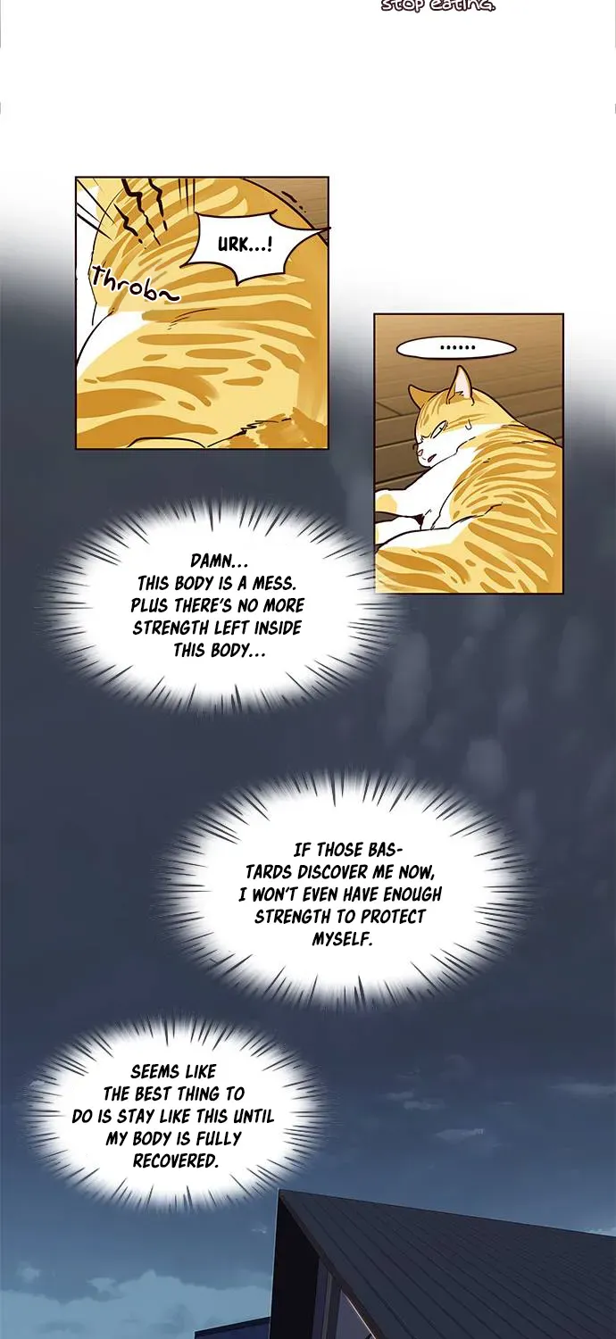 Chapter 2 — page 19