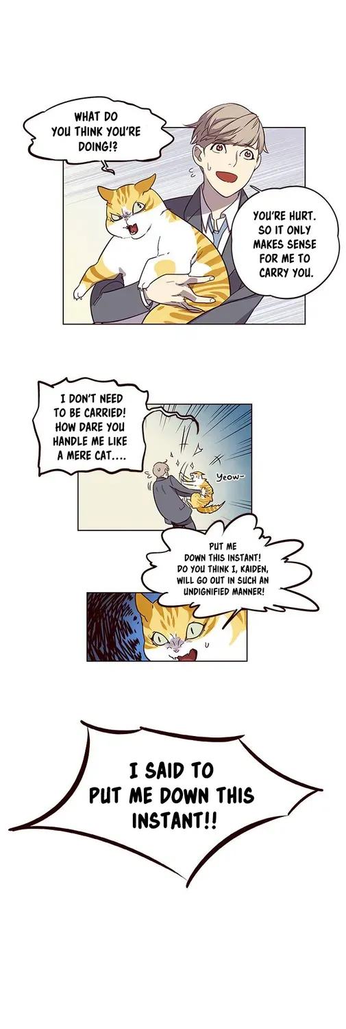 Chapter 2 — page 24