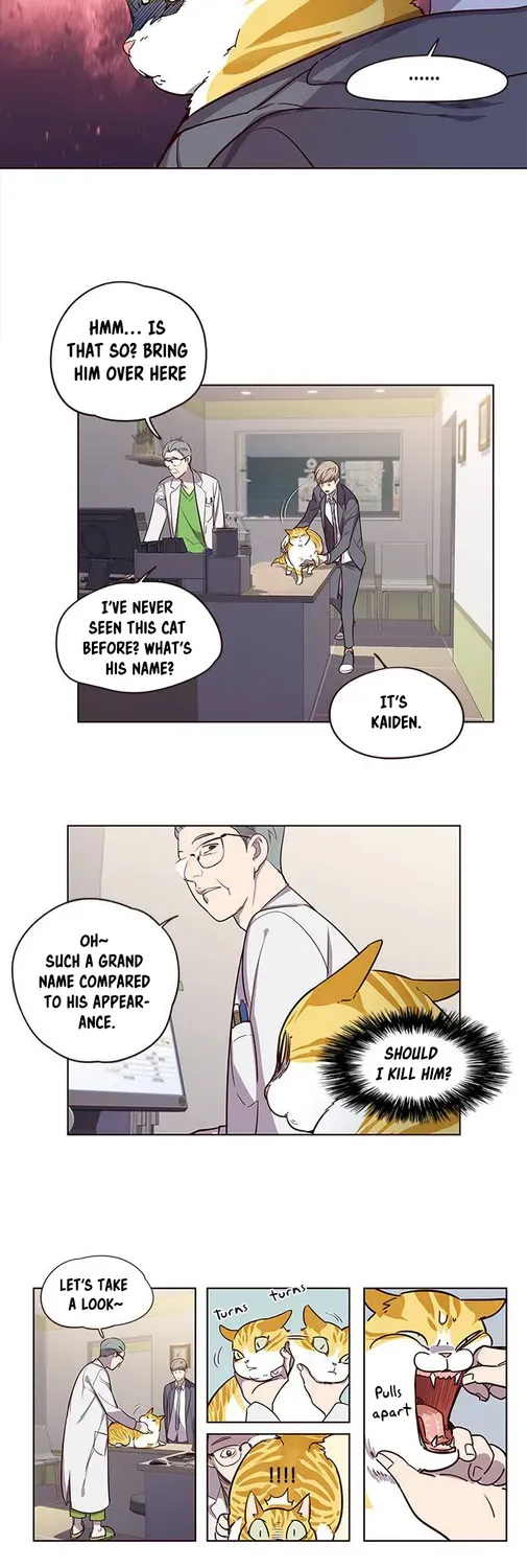 Chapter 2 — page 28