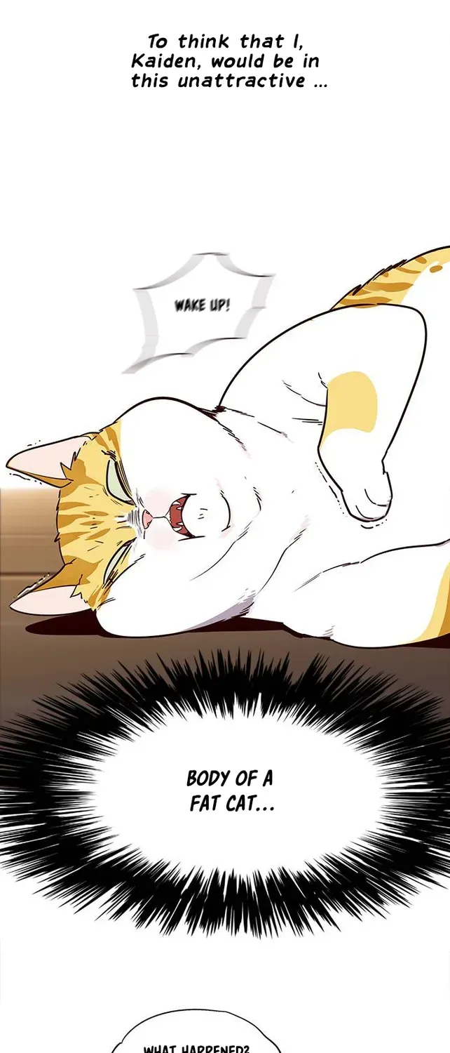 Chapter 2 — page 4