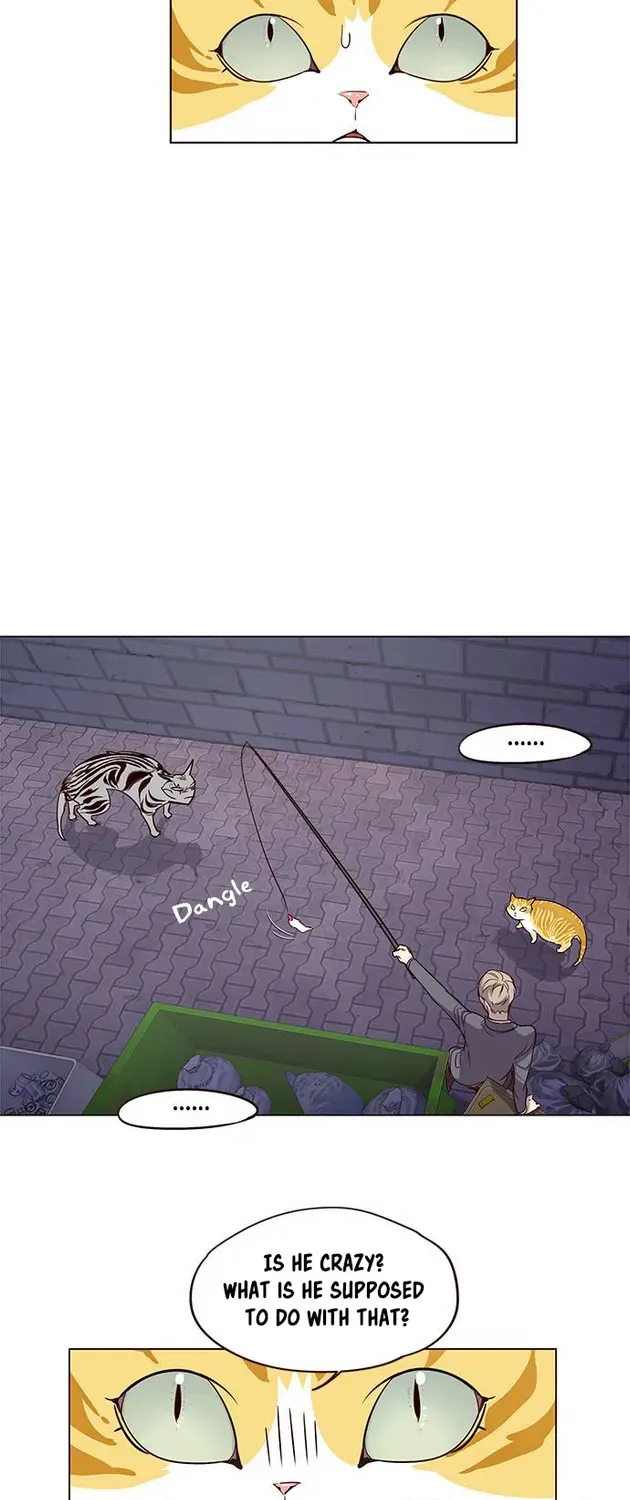 Chapter 2 — page 41