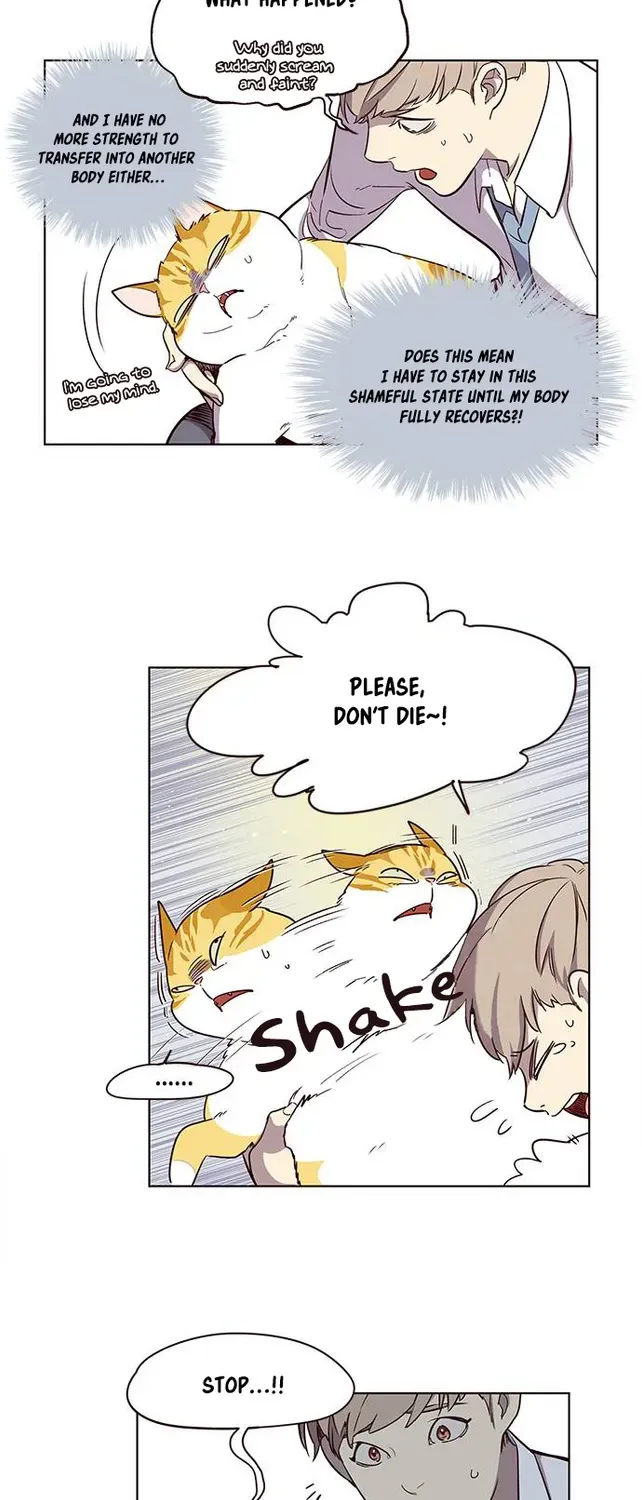 Chapter 2 — page 5