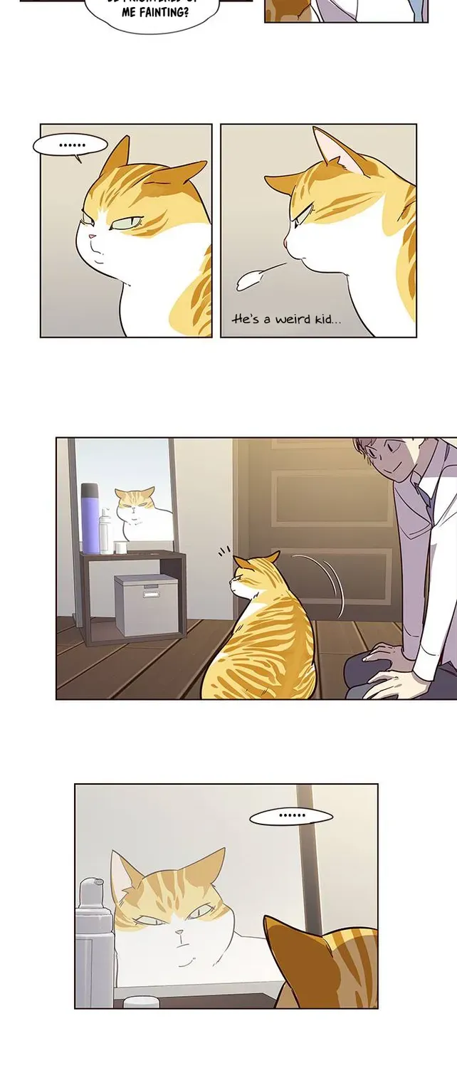Chapter 2 — page 7