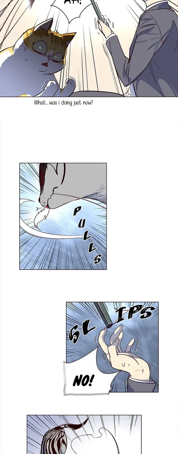 Chapter 3 — page 11