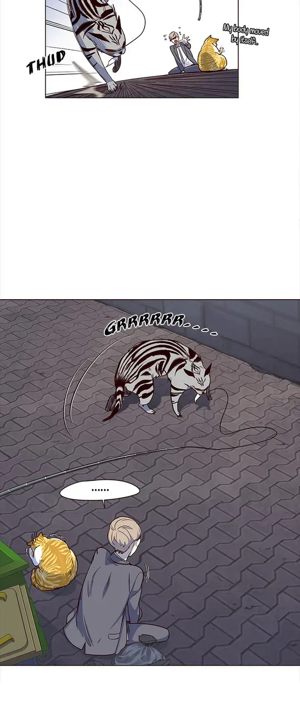 Chapter 3 — page 12