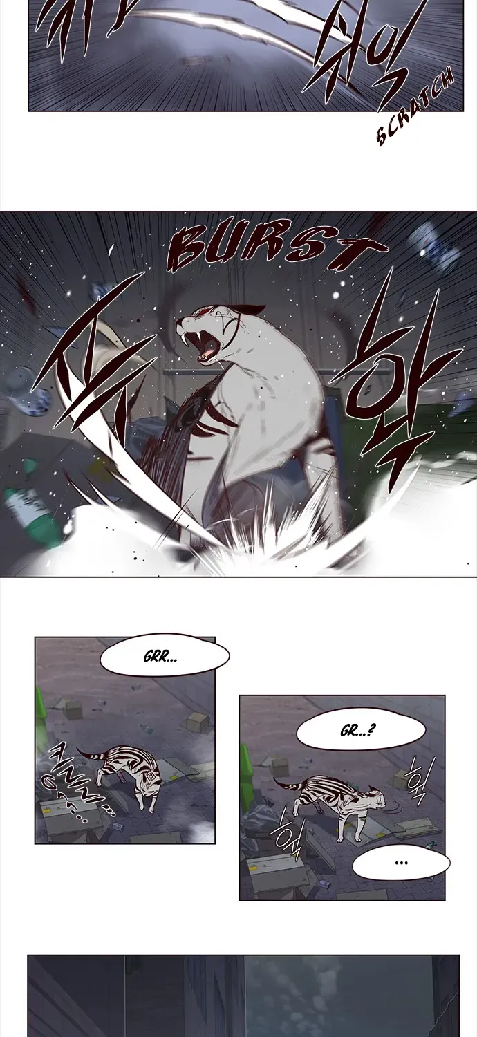 Chapter 3 — page 20