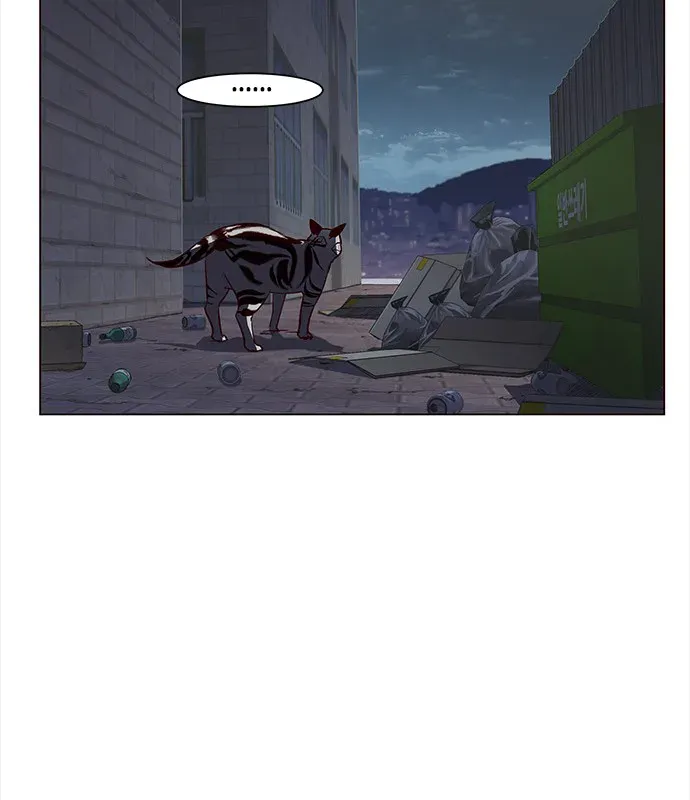 Chapter 3 — page 21