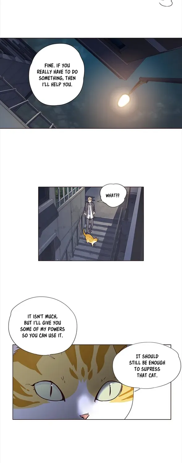 Chapter 3 — page 31