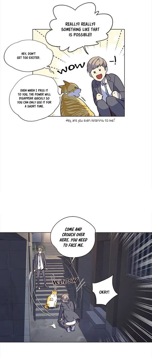 Chapter 3 — page 32