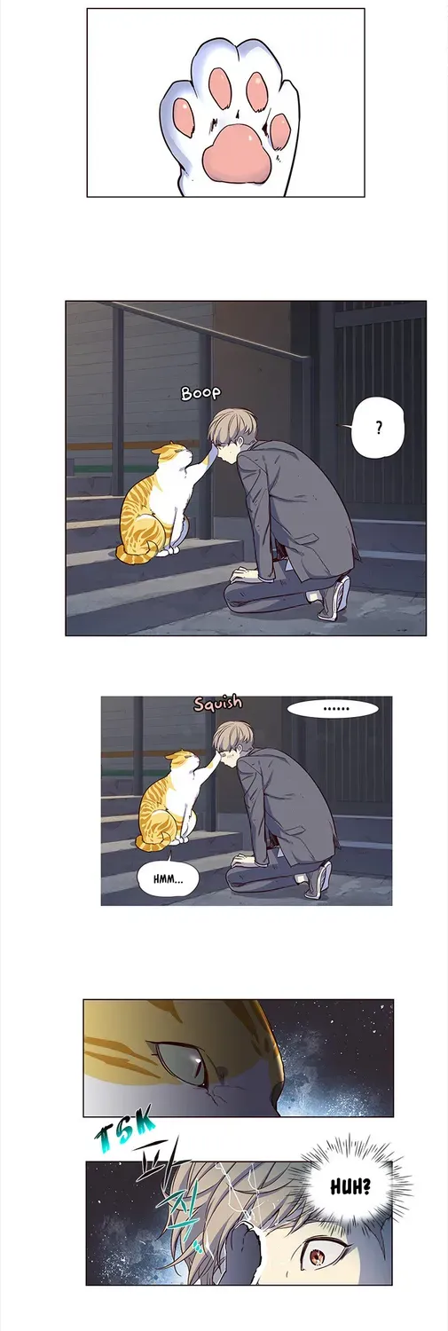 Chapter 3 — page 33