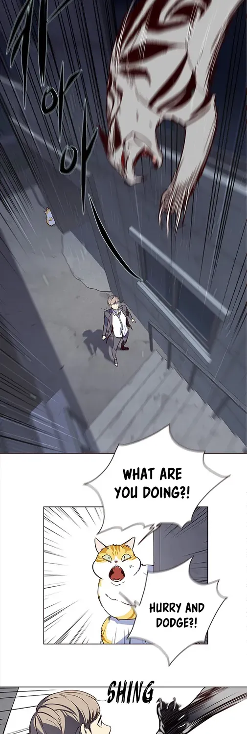 Chapter 3 — page 41
