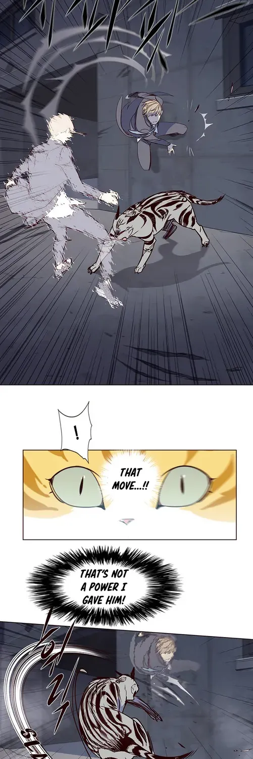 Chapter 3 — page 46