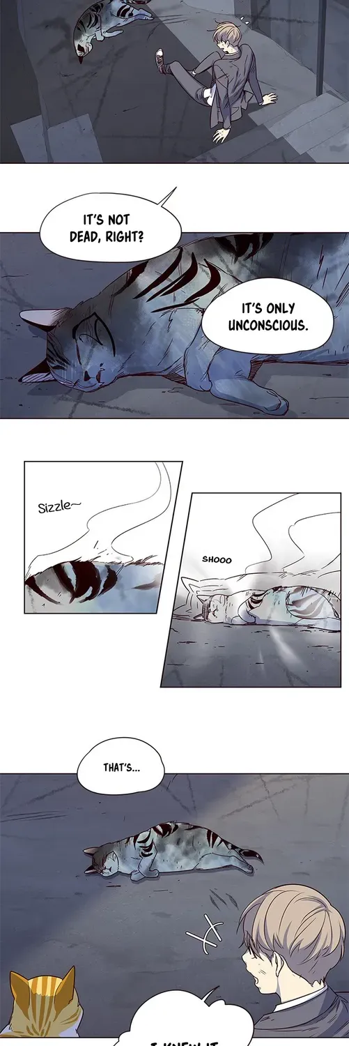 Chapter 3 — page 53