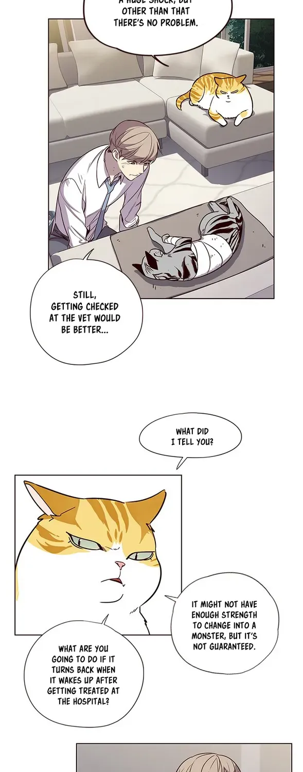 Chapter 4 — page 11