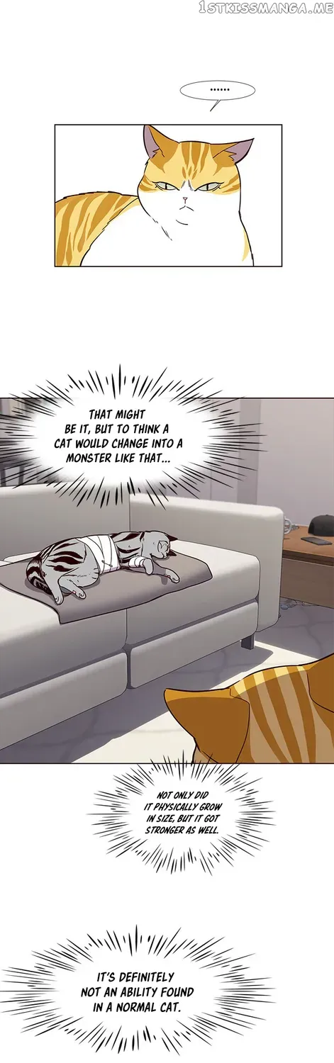 Chapter 4 — page 13