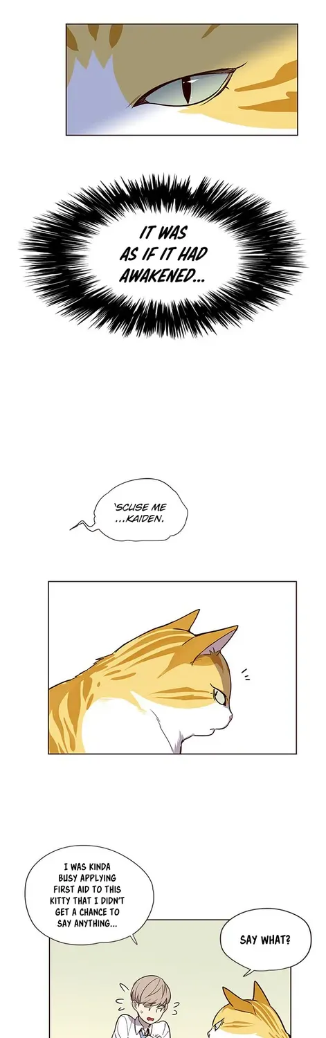 Chapter 4 — page 14