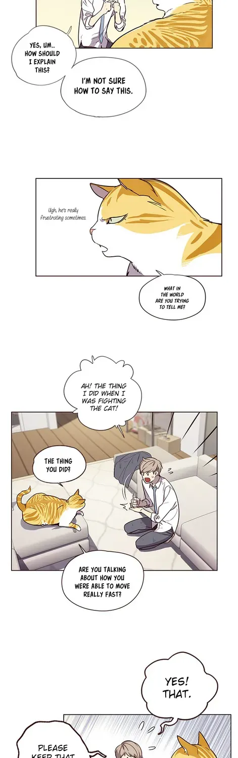 Chapter 4 — page 15