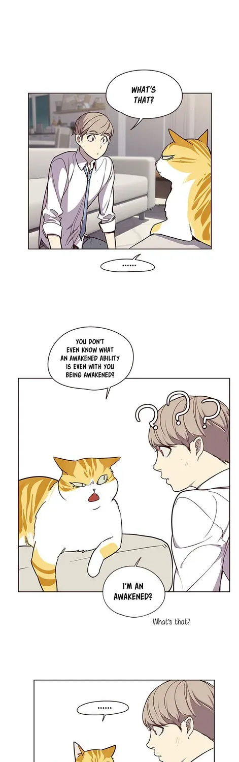 Chapter 4 — page 17