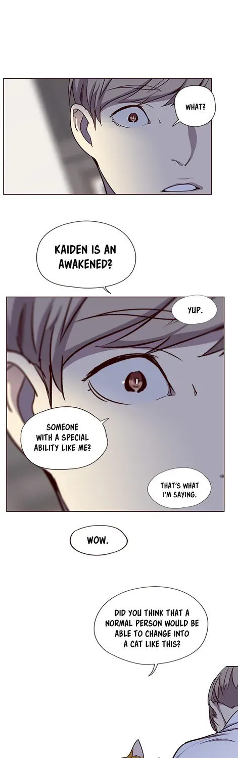 Chapter 4 — page 21