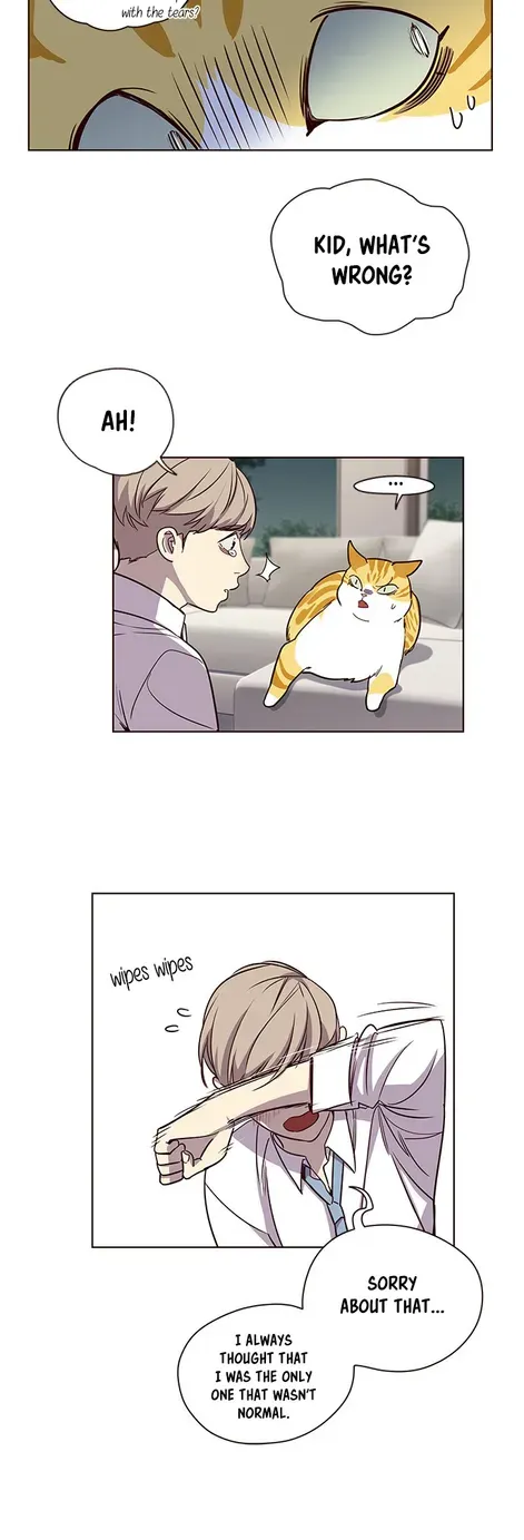 Chapter 4 — page 23