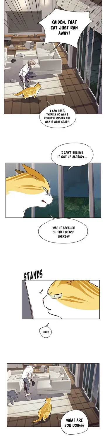 Chapter 4 — page 41