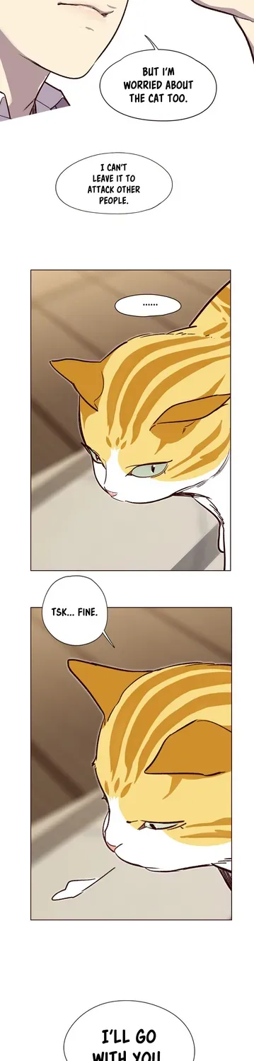 Chapter 4 — page 43