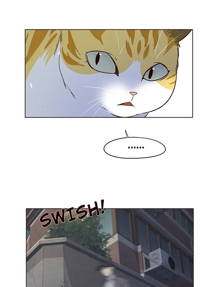 Chapter 5 — page 109