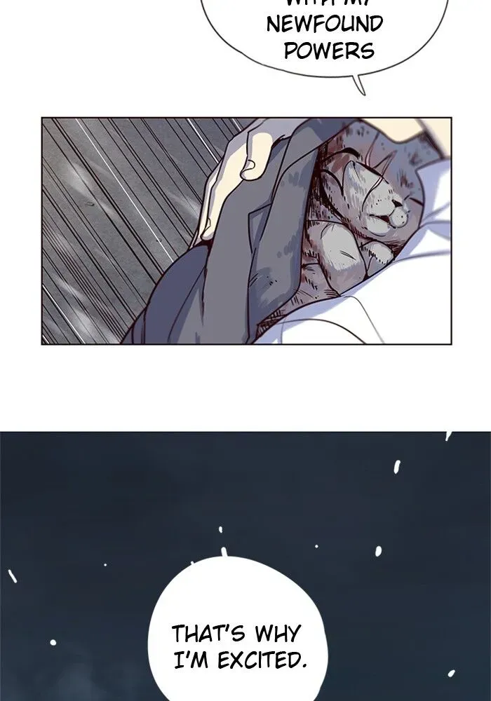 Chapter 5 — page 146
