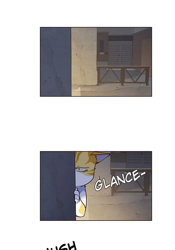 Chapter 5 — page 44