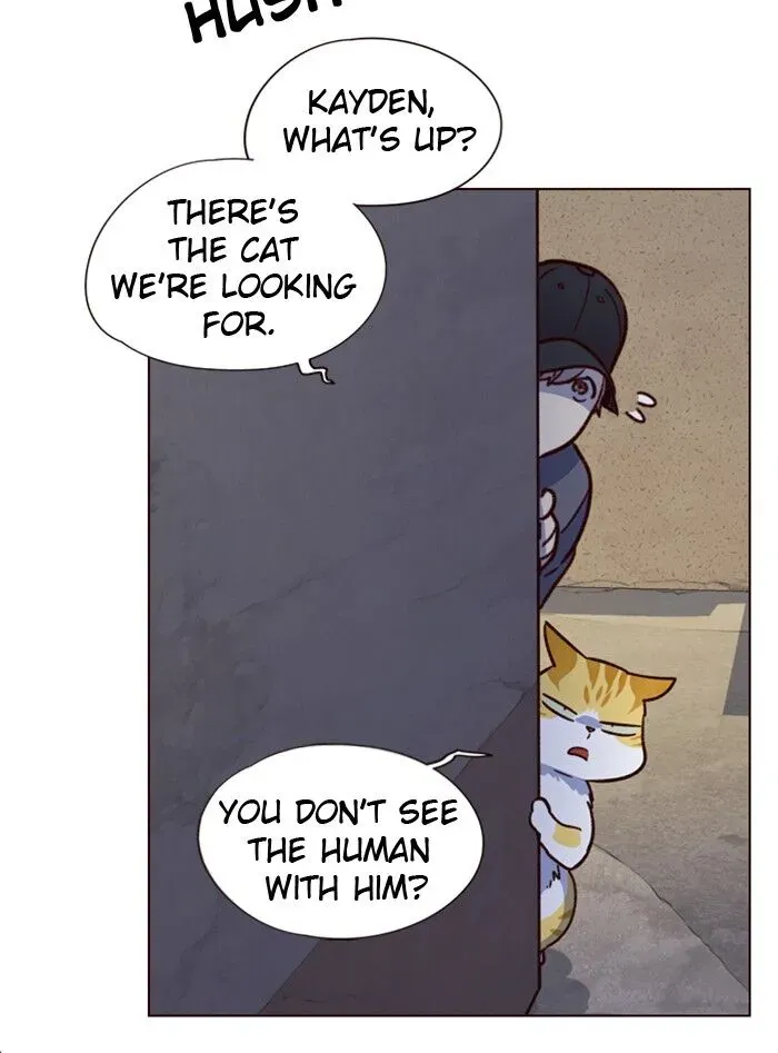 Chapter 5 — page 45