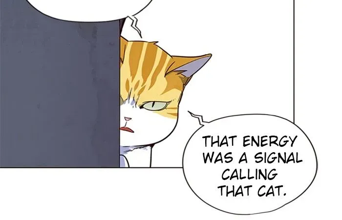 Chapter 5 — page 48