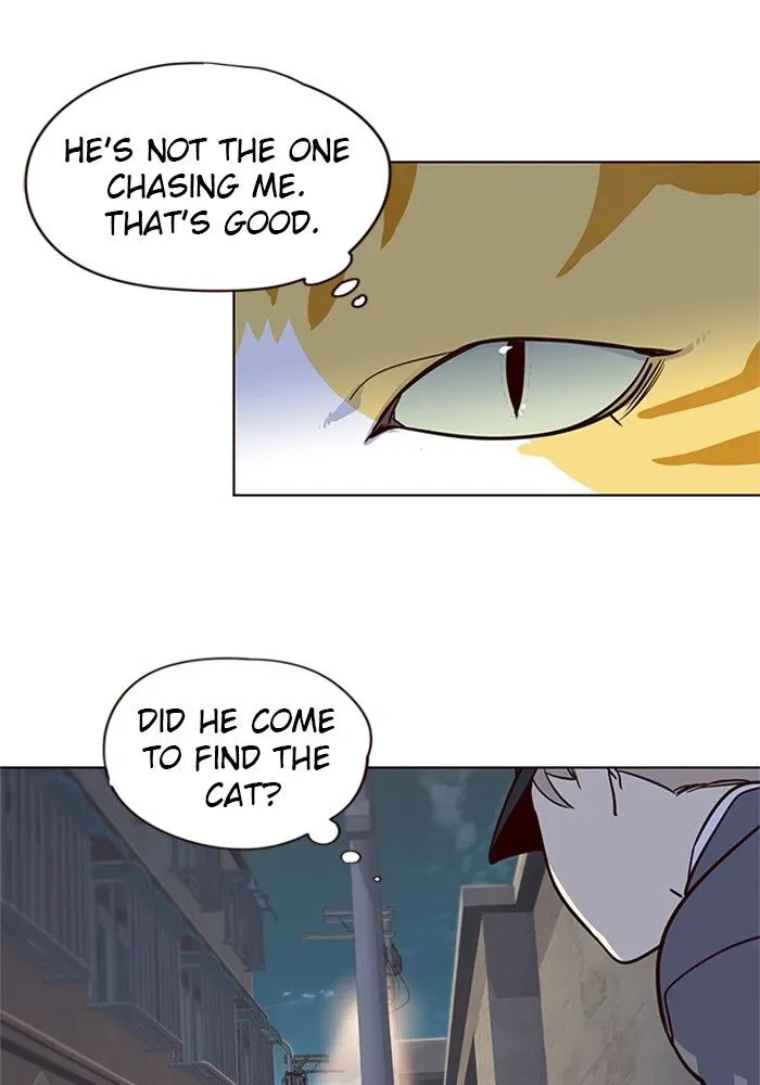 Chapter 5 — page 49