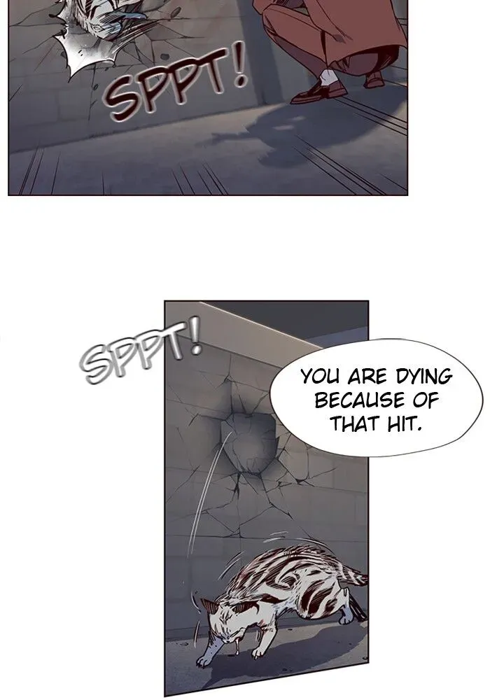 Chapter 5 — page 55
