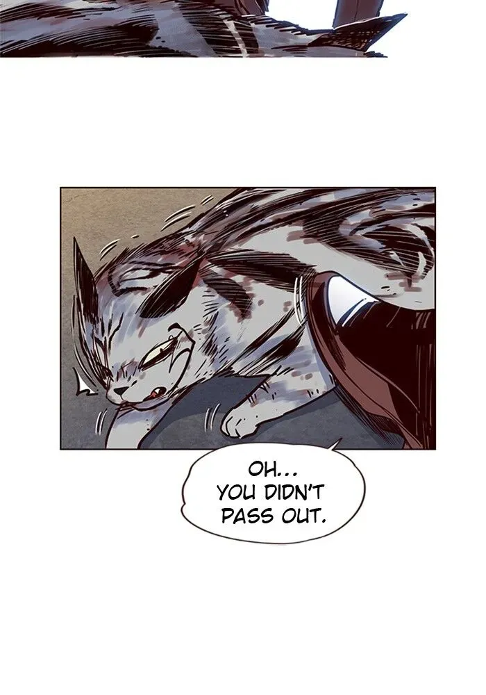 Chapter 5 — page 71