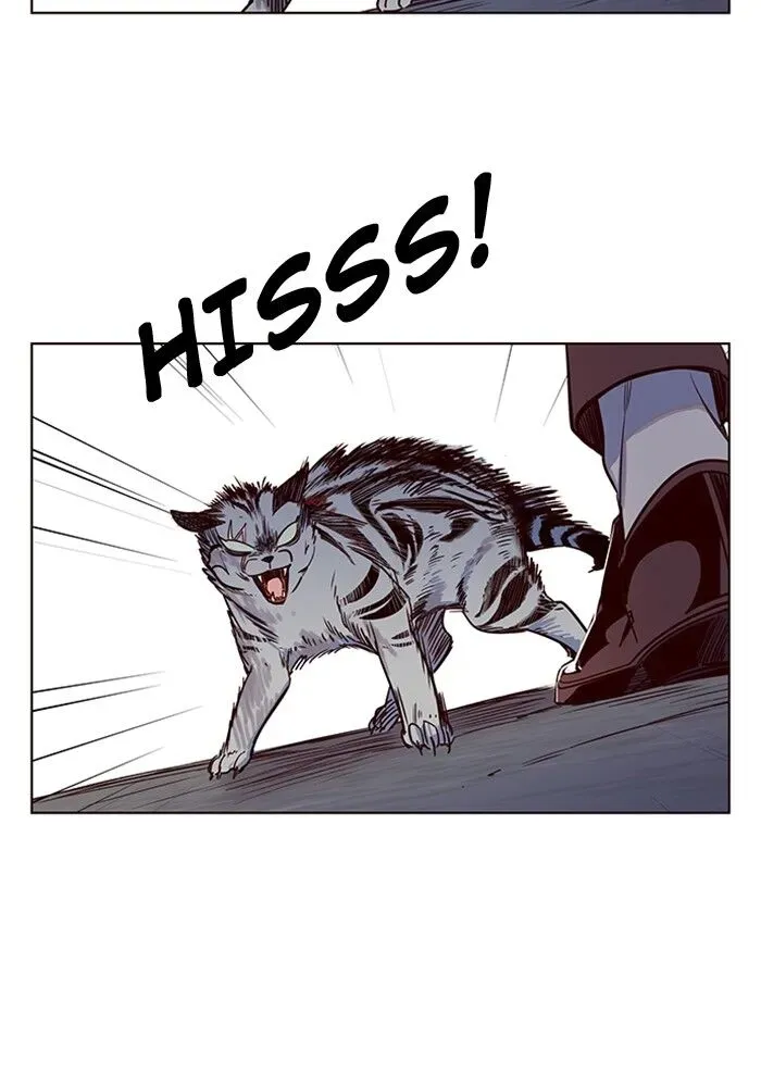 Chapter 5 — page 89