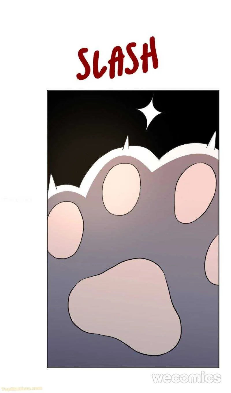 Chapter 1 — page 7
