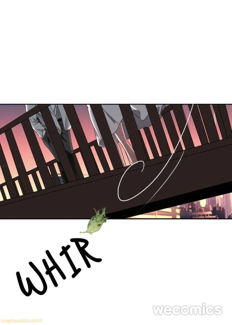 Chapter 8 — page 27