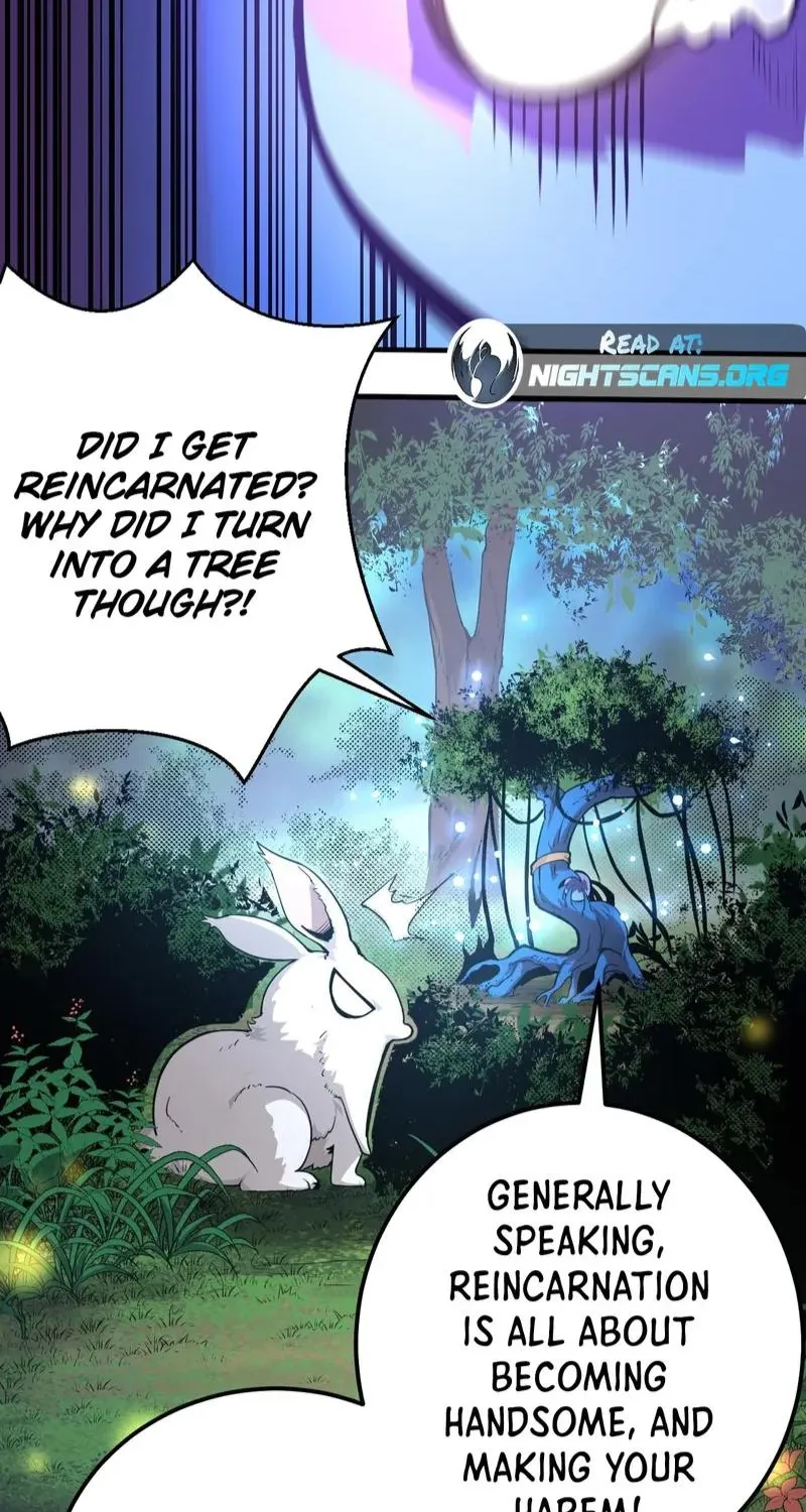 Chapter 2 — page 19