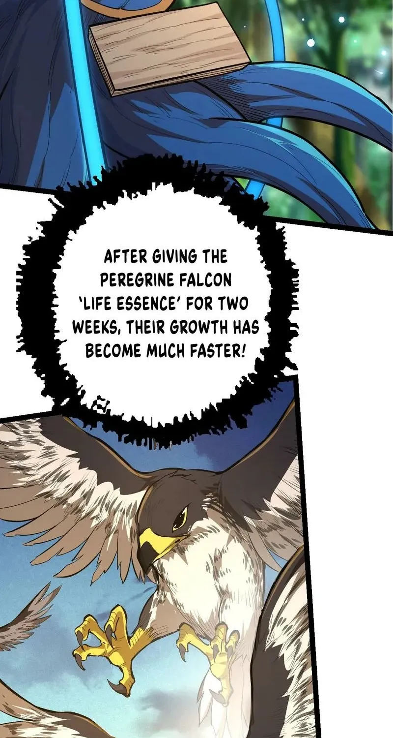 Chapter 5 — page 44