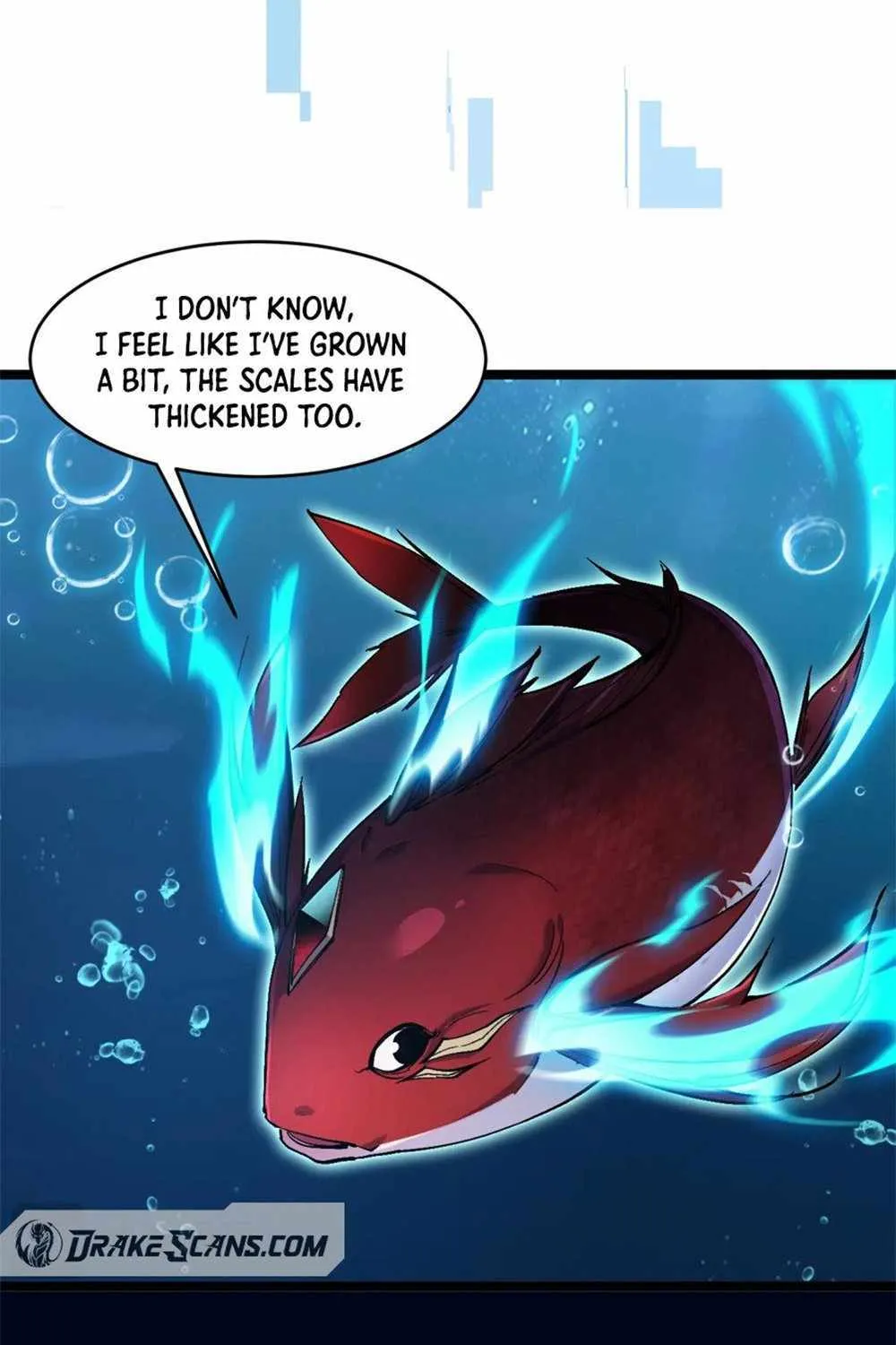 Chapter 1 — page 13