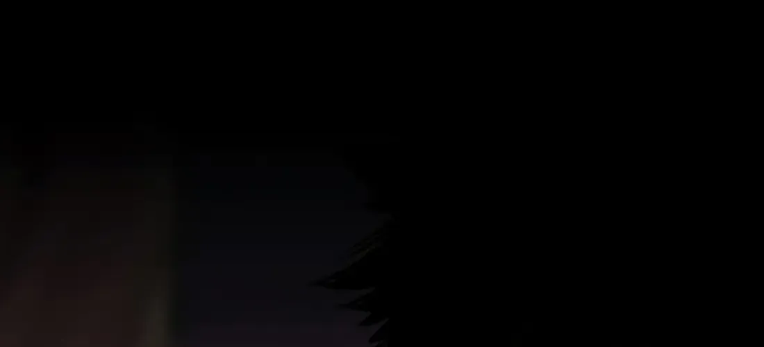 Chapter 11 — page 235