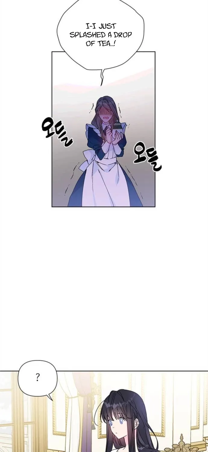 Chapter 2 — page 19