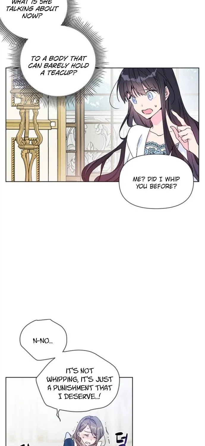 Chapter 2 — page 23